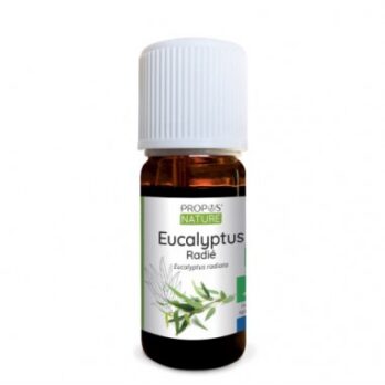 Óleo essencial de Eucalipto Bio
